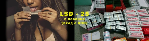эйфоретик Аркадак