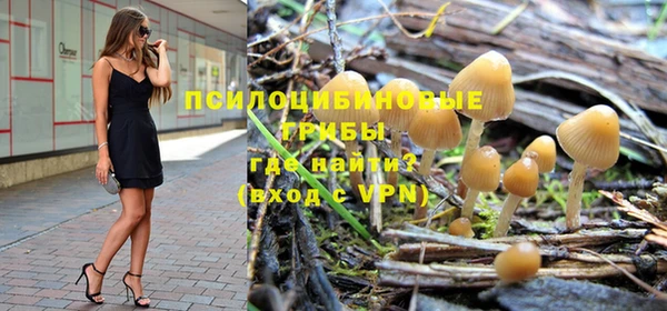 эйфоретик Аркадак