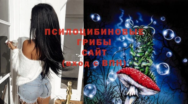 дмт Армянск