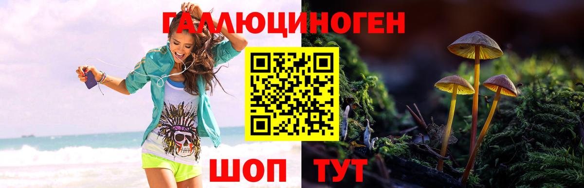 Галлюциногенные грибы прущие грибы Каспийск