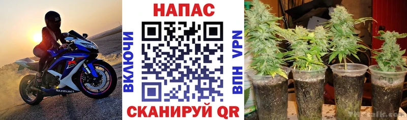 мега вход  Каспийск  Шишки марихуана SATIVA & INDICA 